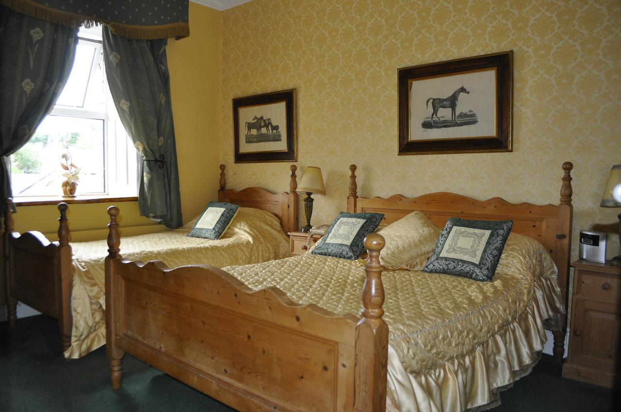 Highfield House Guesthouse Трим Стая снимка